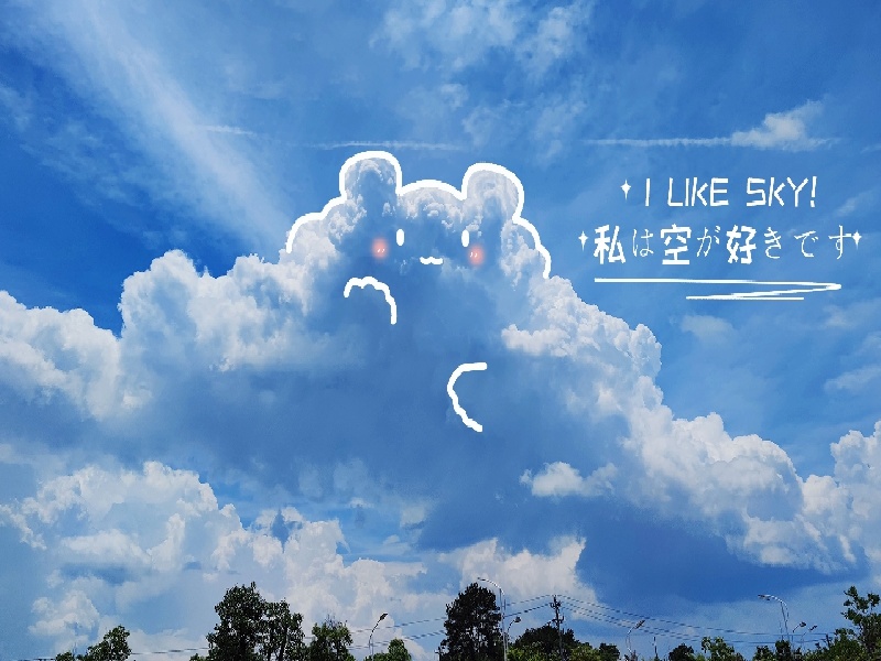 试管注意吃什么试管移植鲜囊哪能买到试管刷