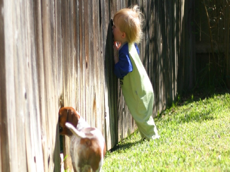 试管婴儿费用二十万锥形试管的作用北京大龄试管姐妹
